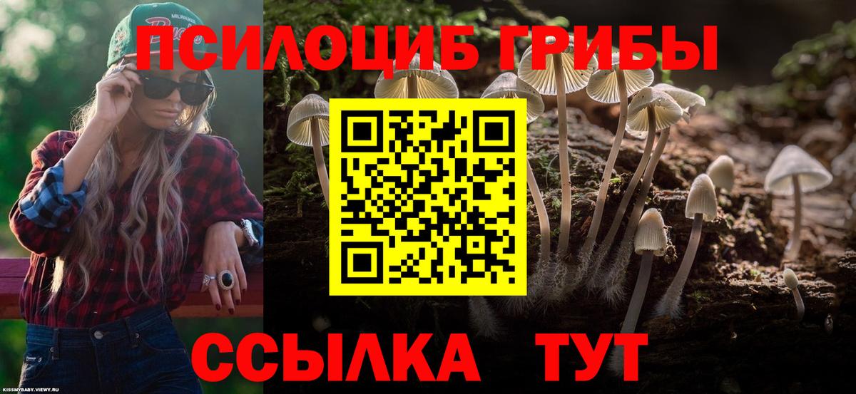 Семилуки  Псилоцибиновые грибы GOLDEN TEACHER  Вход с VPN 